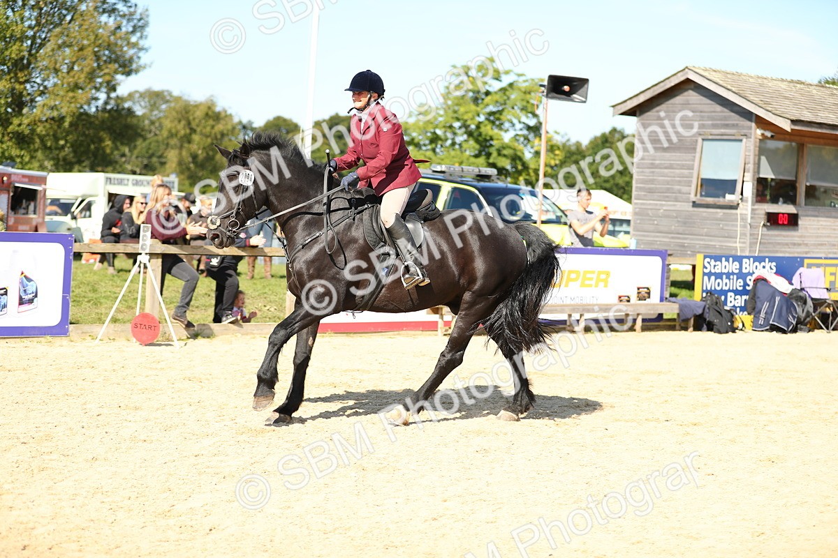 SBM_17863 - J33 - Senior 75cm Championship