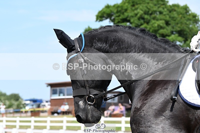 250621-150223-11680 - Cls 30 - Elementary 6