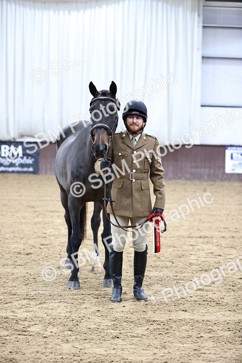 SBM_5220 - Class 39 - In Hand Gelding