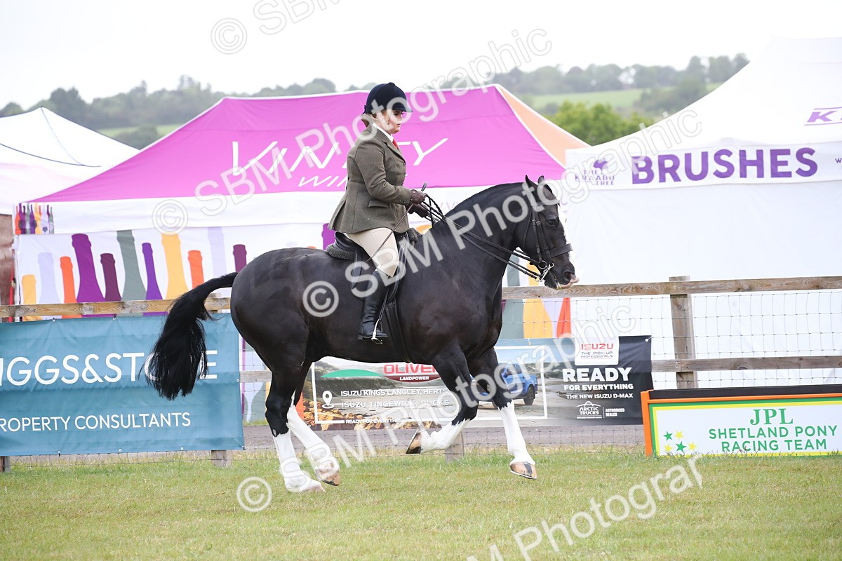 SBM_11059 - Class 92-93 - LIHS BSHA Rising Star Cobs