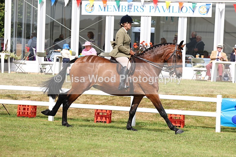 3E7A9408 - Class 4: Rising Star M/H Hunter