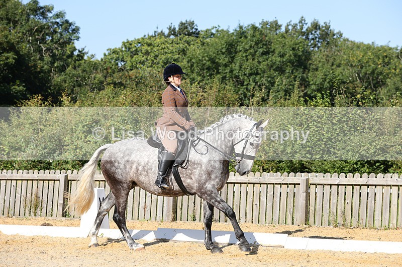 1X9A7735 - Class 9: Open Ridden Hunter