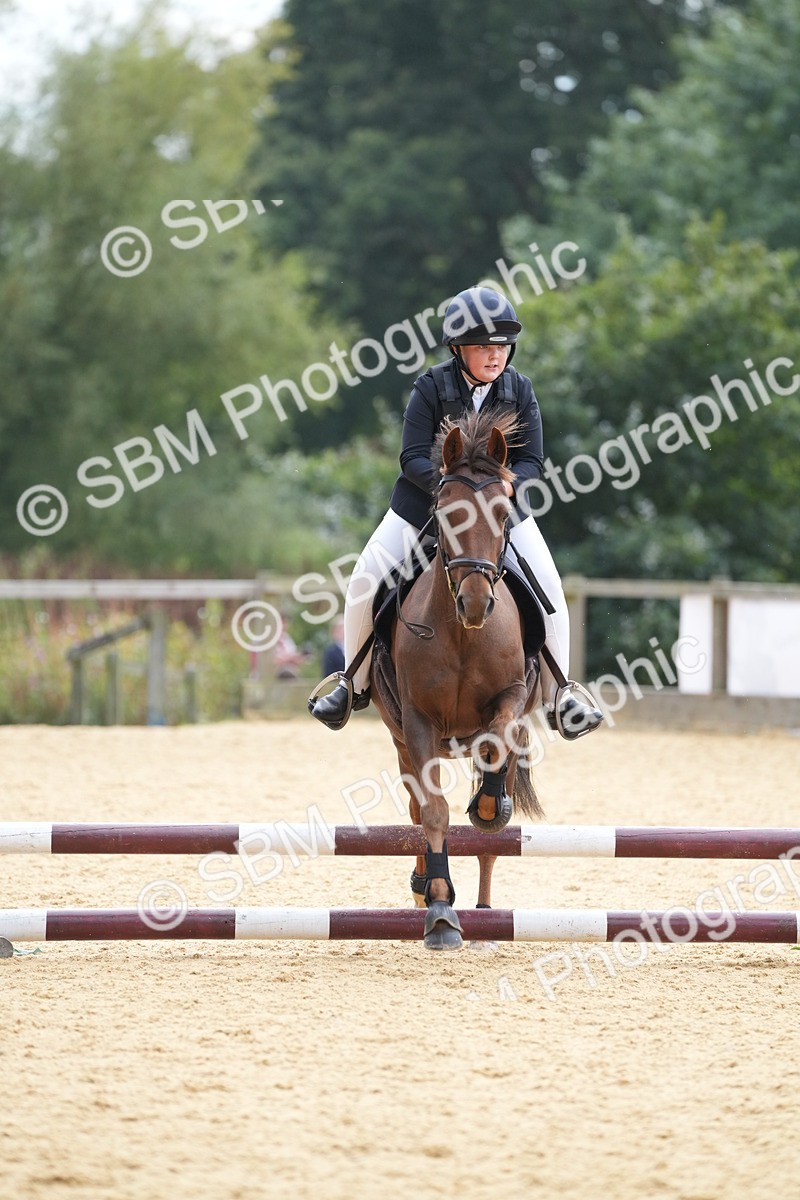 SBM_74731 - J4 - Mini Tour Junior Pony 45cm Championship