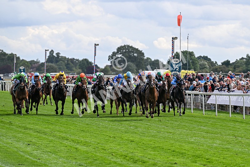 210826-Race 4-Bacio-6163 - Race 4 15.35pm Coolmore City Of Troy Nunthorpe Stakes