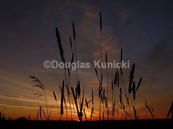 Bugs View - Photos of the East