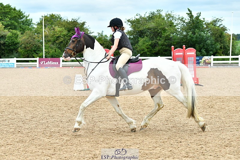 230804A-121750-02496 - Showjumping Competition