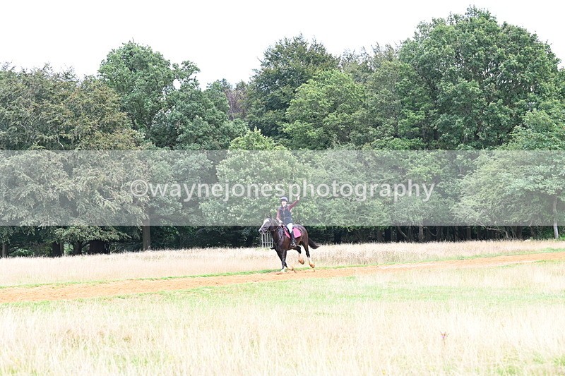 DSC_8762 - Time at Statue 14:33 to 15:10