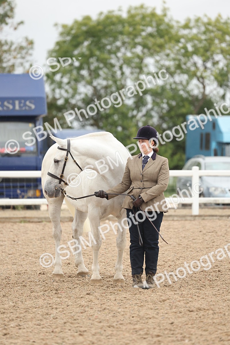 SBM_19335 - Class 317 - IH Pure Bred Horse-Pony