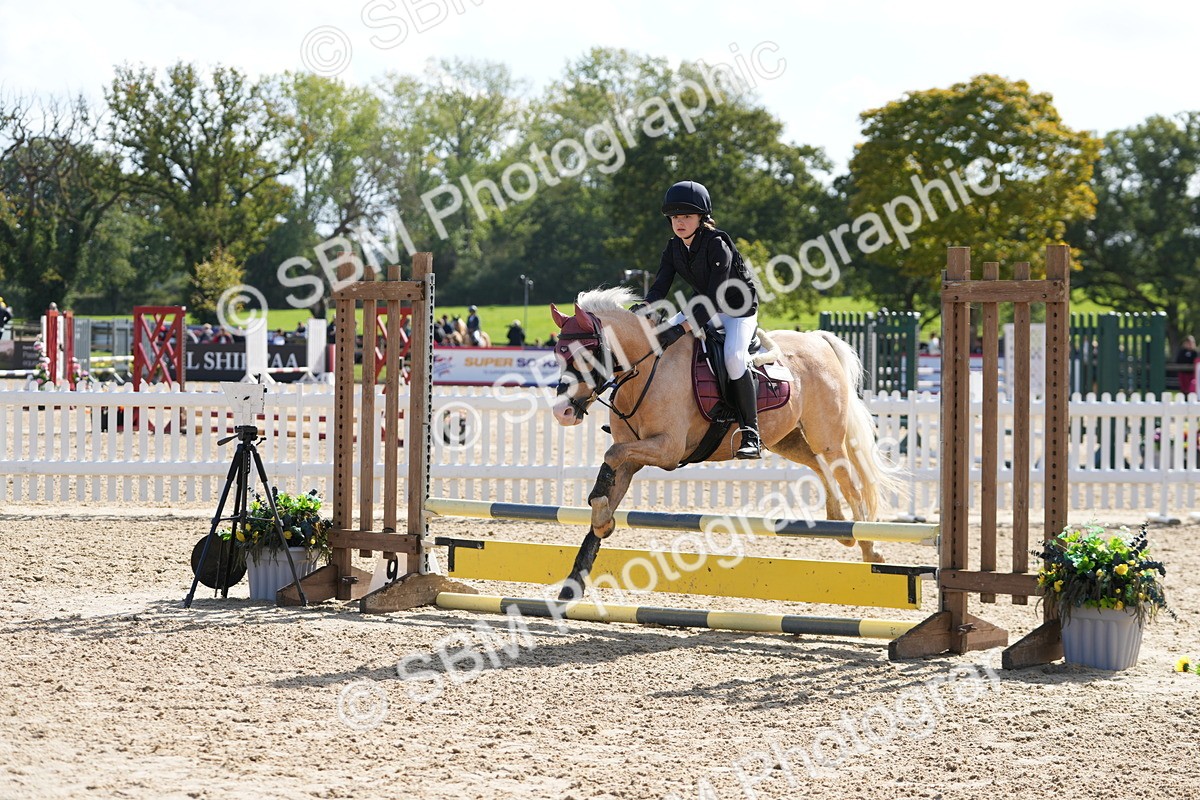 SBM_46684 - J7 - Junior Pony 60cm Championship