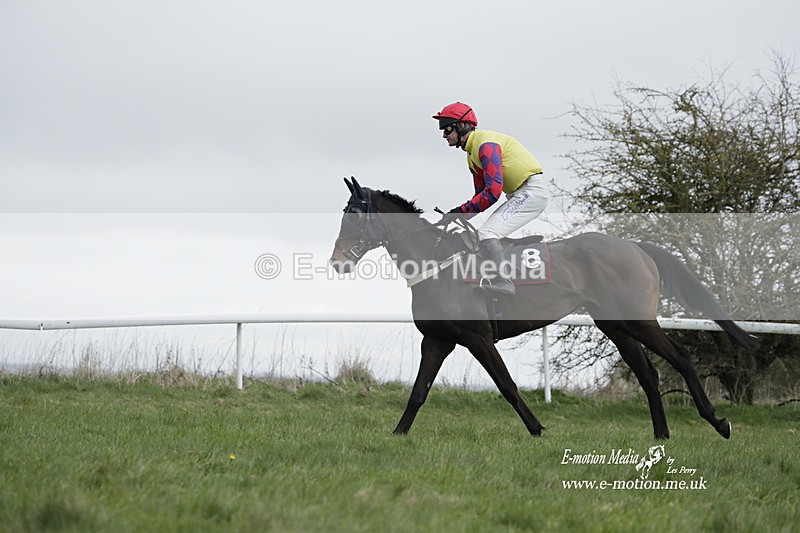 PtP 260323 0708 - New Forest Hounds Point-to-Point Larkhill 26/03/23
