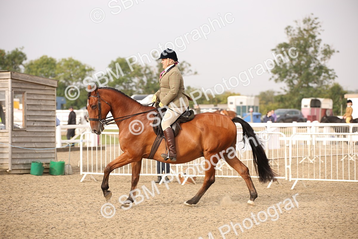 SBM_10227 - Class 402 Riding Club Horse