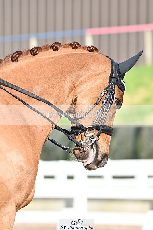 240218A-144847-08227 - 219-Jessica.Davies-Kadanz.II