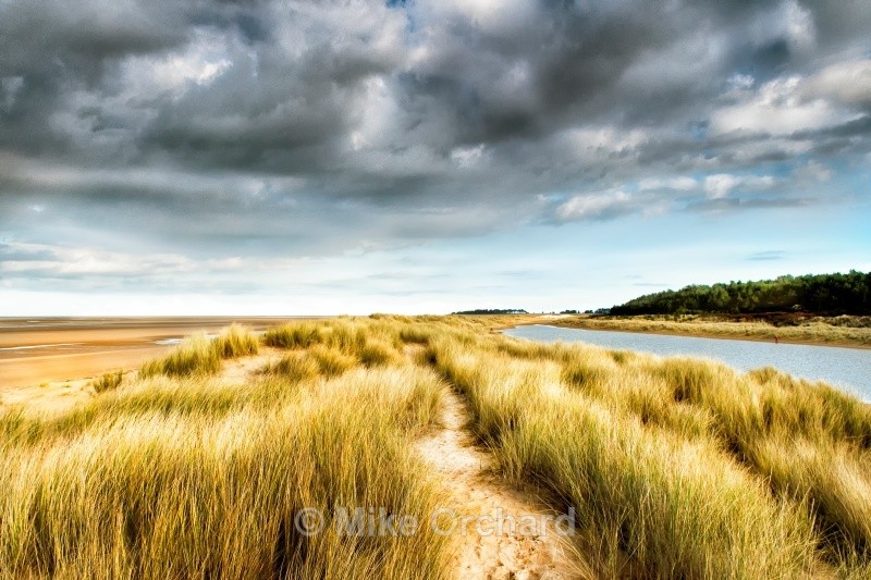 Grass Sand Dune - Wells Next The Sea - Norfolk - Seascapes