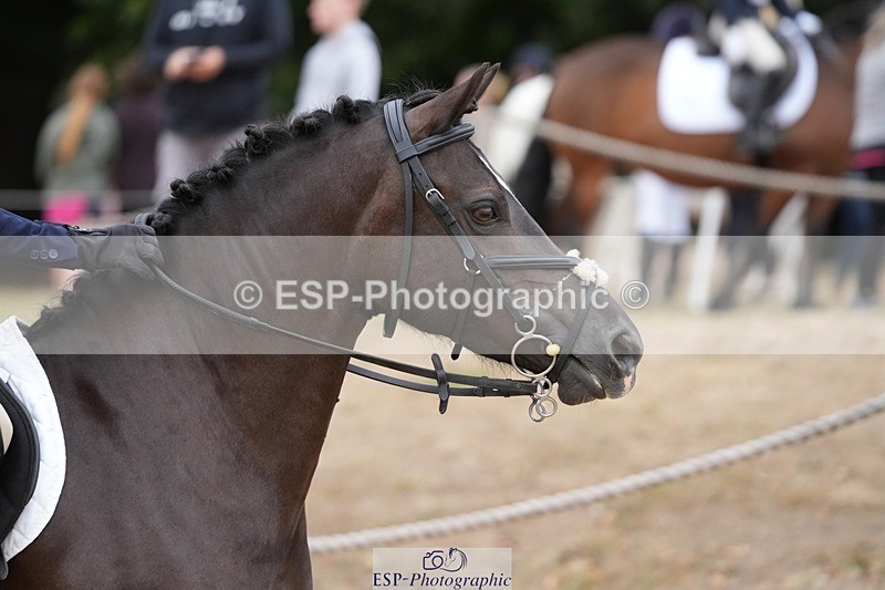 250820A-095802-02198 - Round 2, 9.45 to 10.45 Break