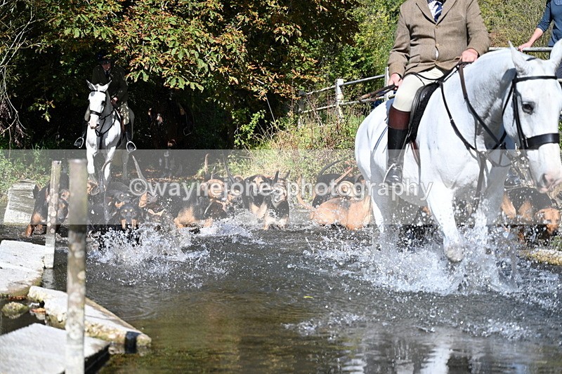 WJ7_5949 - Hounds Water Crossing