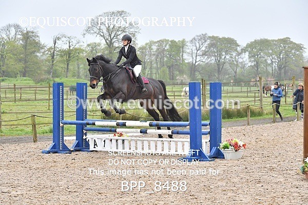 BPP_8488 - CLASS 22 SUN Club/ Unaffiliated 80cms Open