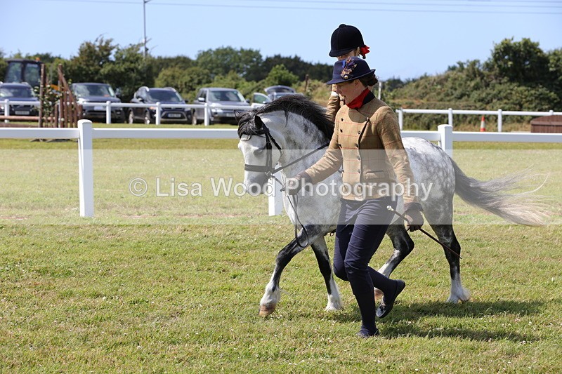 1X9A5147 - Class 36: NPS M&M Lead Rein