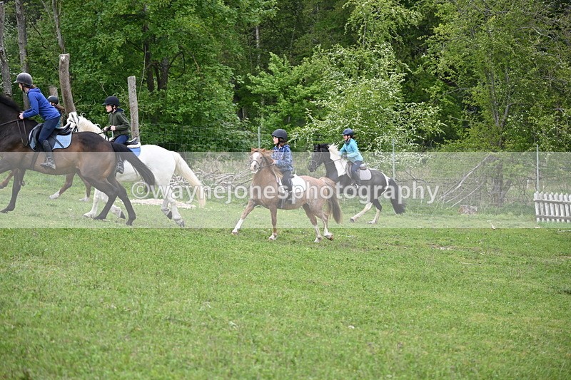 WJ6_3043 - A Camera