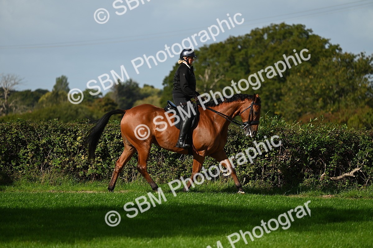 SBM_01333 - S2 - TSR Ridden Horse Showing