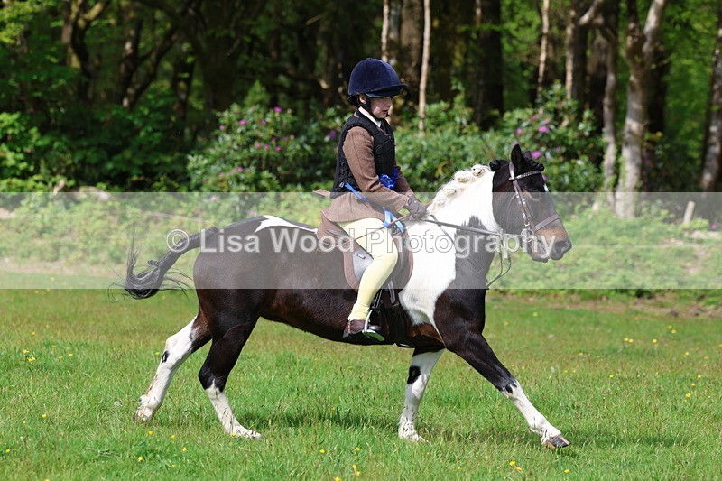 3E7A2650 - Working Hunter Championship