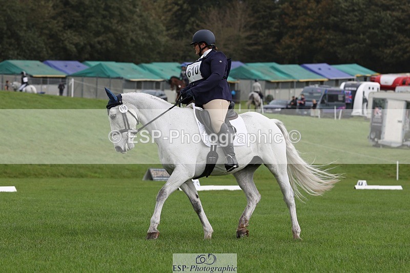 231019-111516-02598 - 610-WESTEND.STEVIE-Marie.Spillane-DR