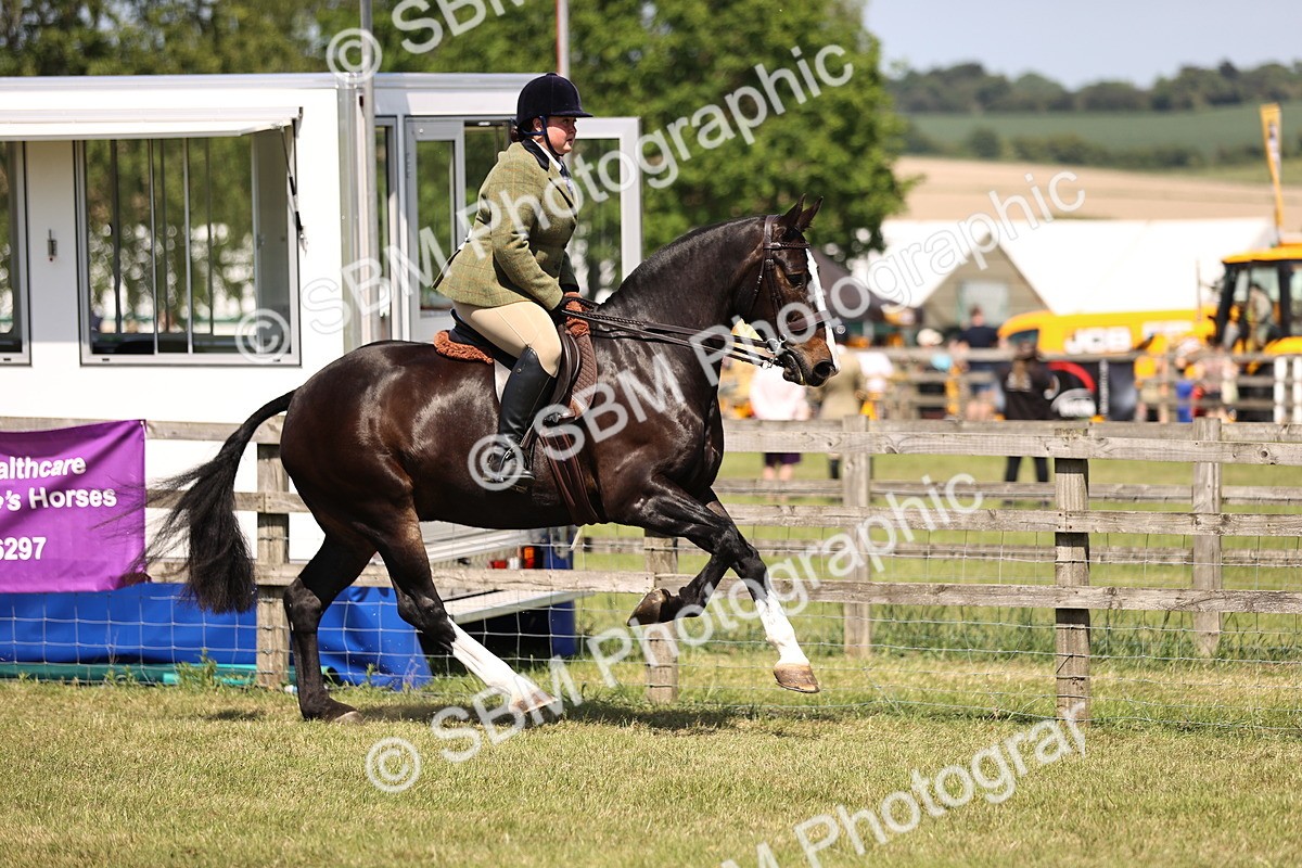 SBM_17843 - Class 81-83 - TSR Ridden Amateur of the Year - Horses