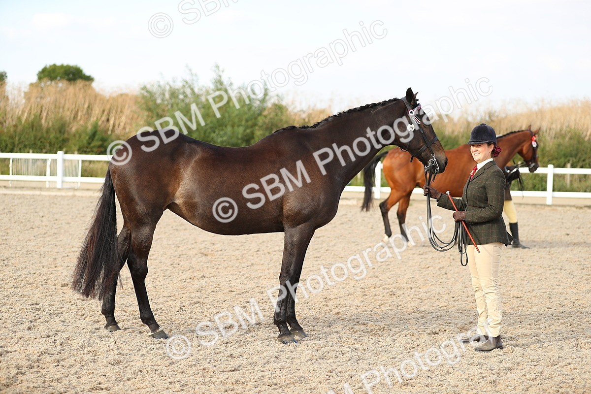 SBM_08642 - Class 28 - IH Veteran Horse
