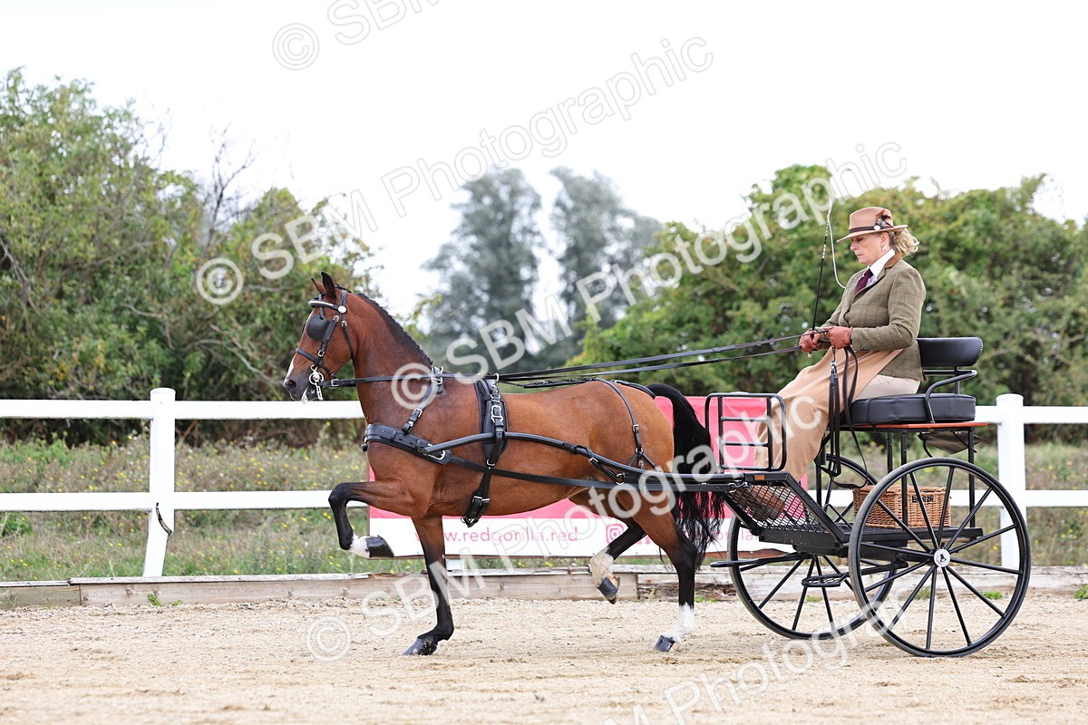 SBM_000282 - Class 2 - Exercise Vehicle 13.2hh & Under