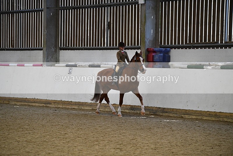 WJ5_6006 - Class 9 Ridden Veteran