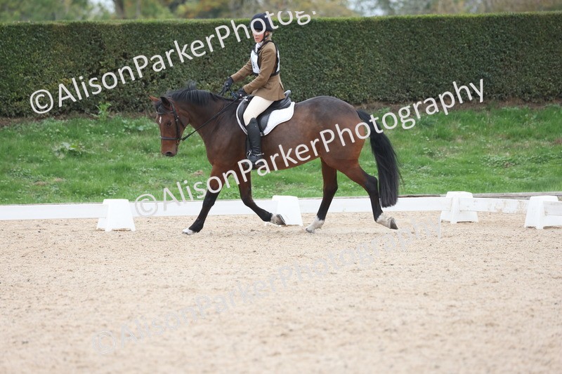 20251011-0517 - Class 5 - Novice 3