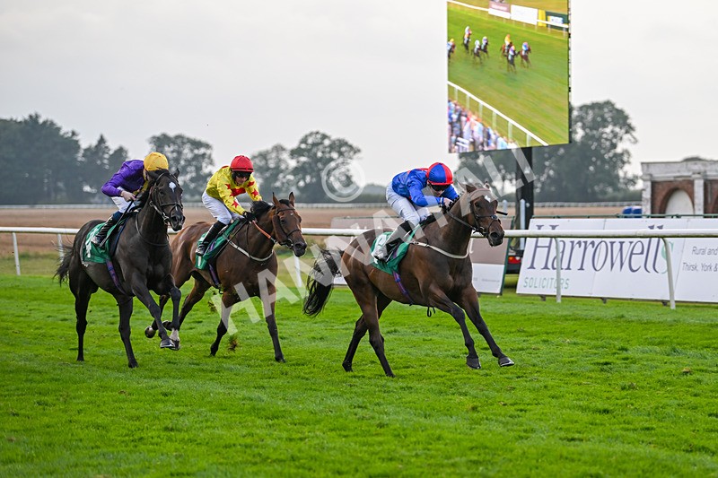 070924-Race 8-Desert Falcon-8080 - Race 8