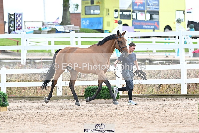 240717A-143621-02141 - Trot Up 2pm to 3pm - This folder is not in time order