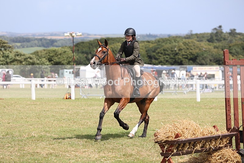 JPP_2065 - Class 19: Working Hunter 60cm