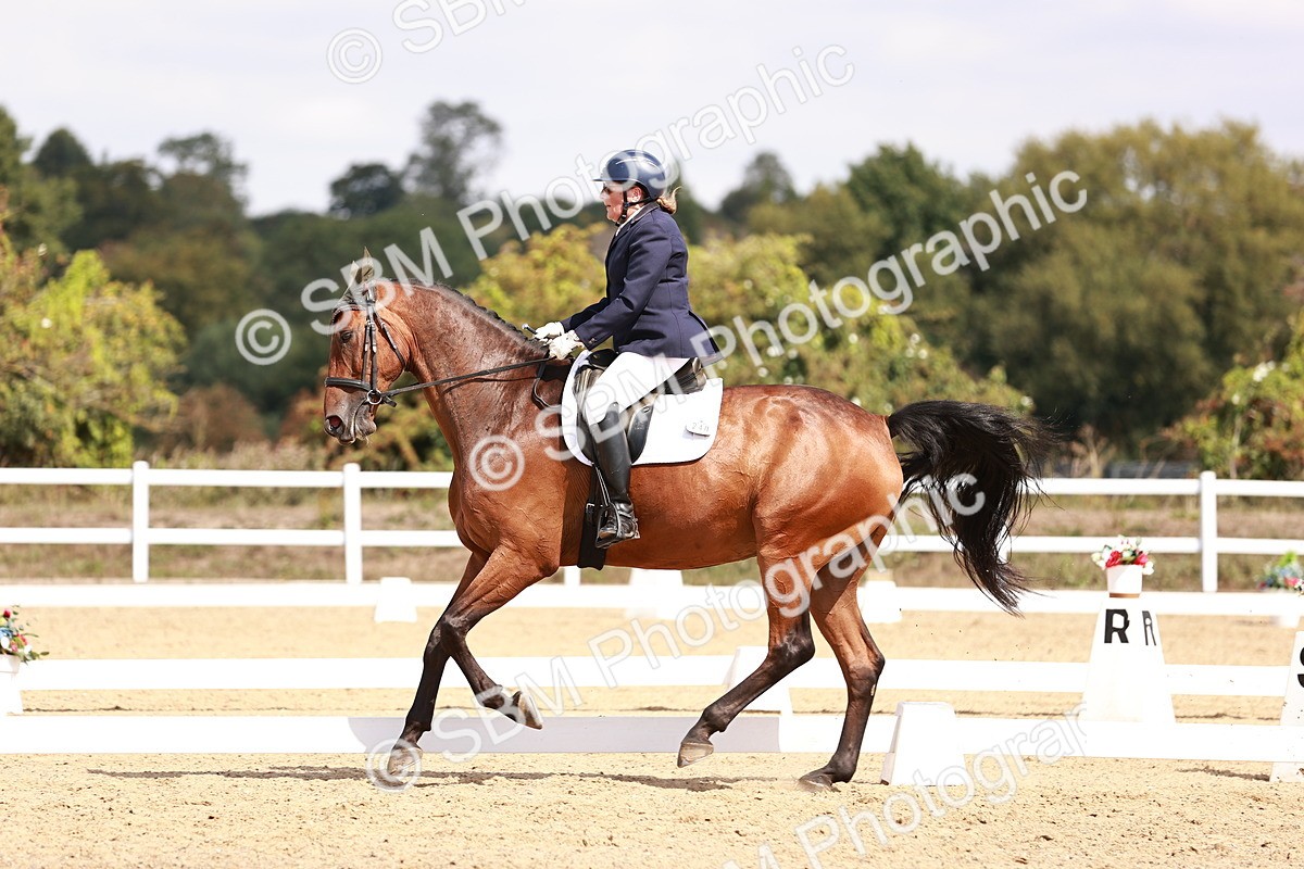 SBM_018522 - Class 17 - Novice 6