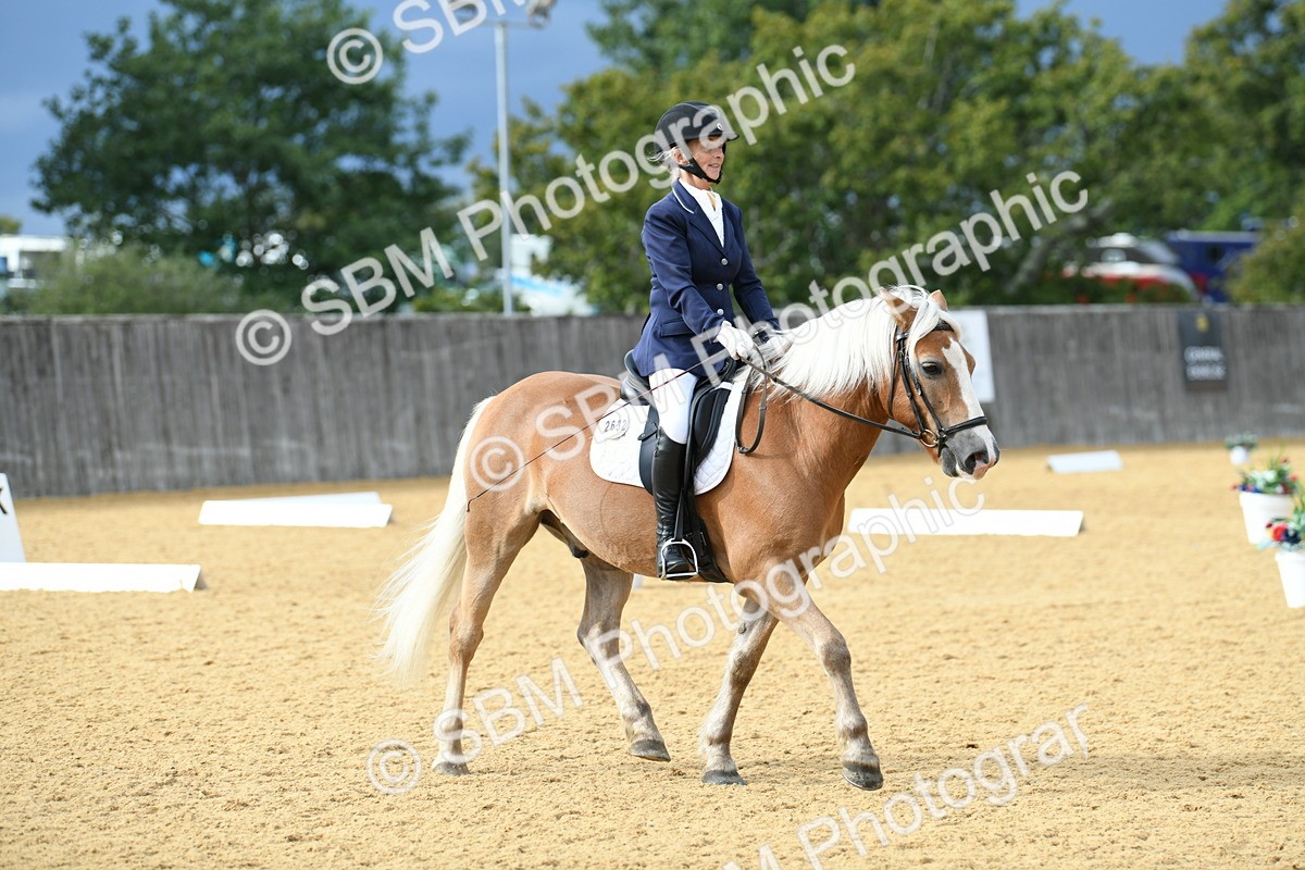 SBM_10934 - D28 Elementary Taster Elementary 42