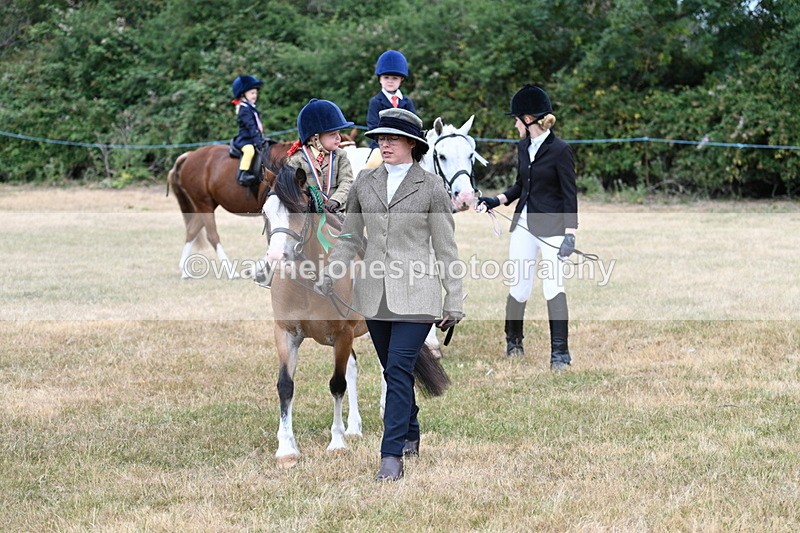 WJ7_9971 - Class 1 Lead Rein Pony