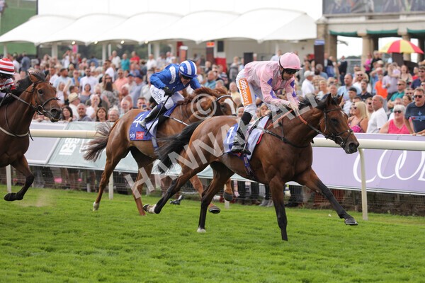 yr19082022r1-22 - Race 1 1.50pm Sky Bet Stakes