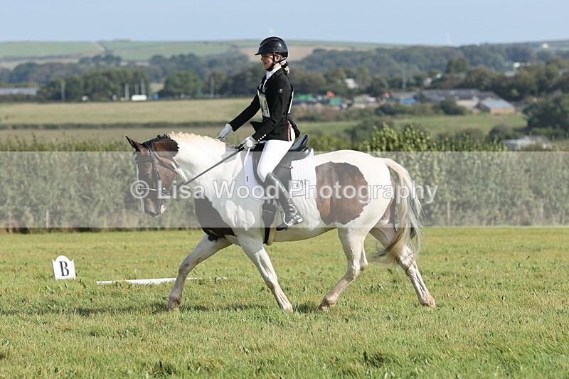 JPP_8119 - Class 2A: Trekenning Open: Dressage