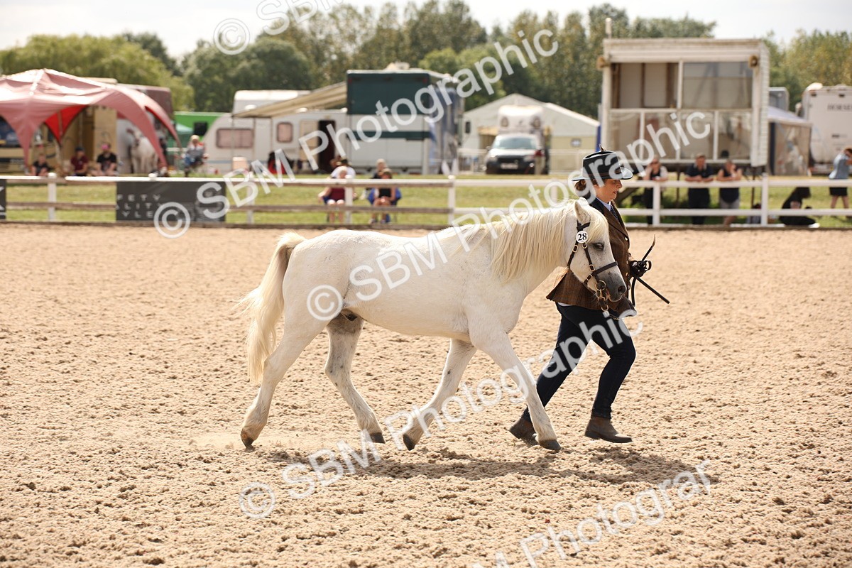 SBM_04646 - Class 20 IH Veteran