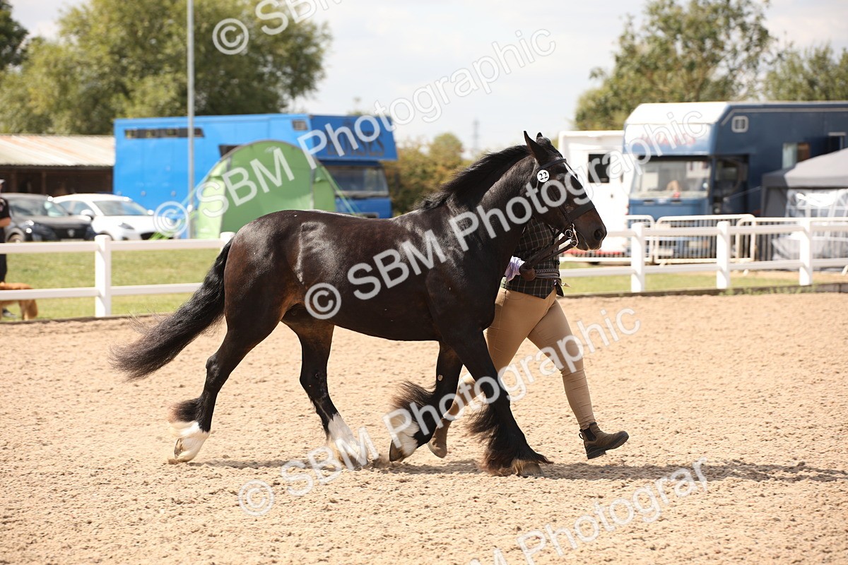 SBM_04550 - Class 20 IH Veteran