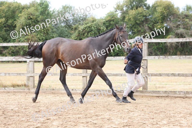 20260831-1905 - Class 5 - Retraining of Racehorses