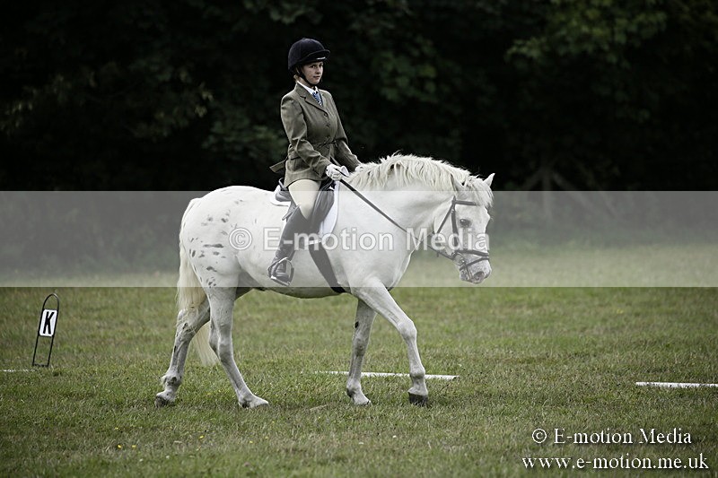 BVR080918 359 - BVRC Novice Dressage & CR 08/09/18