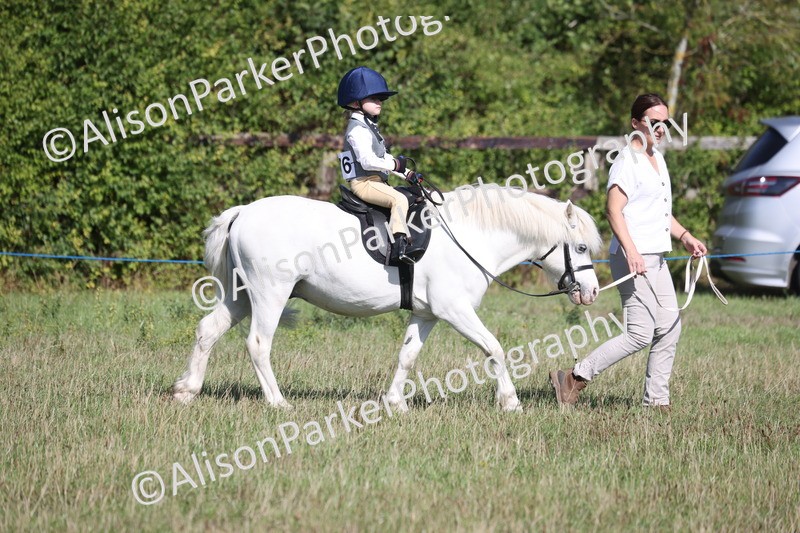 20260906-2142 - Class 16 - Family Pony