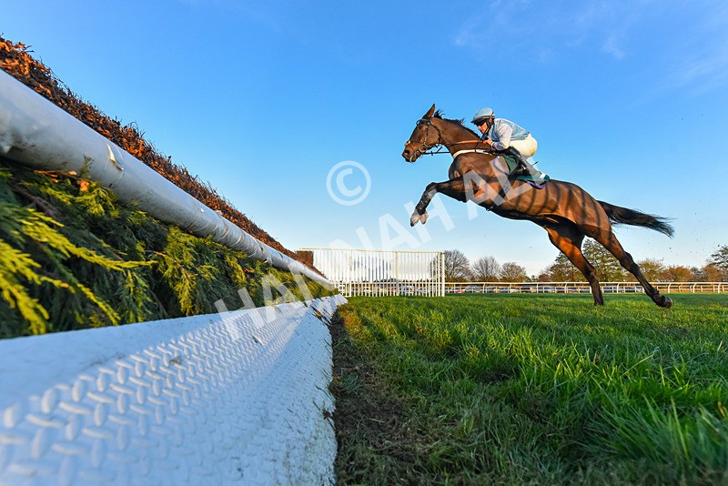 221124-Race 6-Presentandcounting-9170