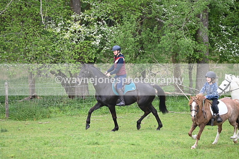 WJ6_2991 - A Camera