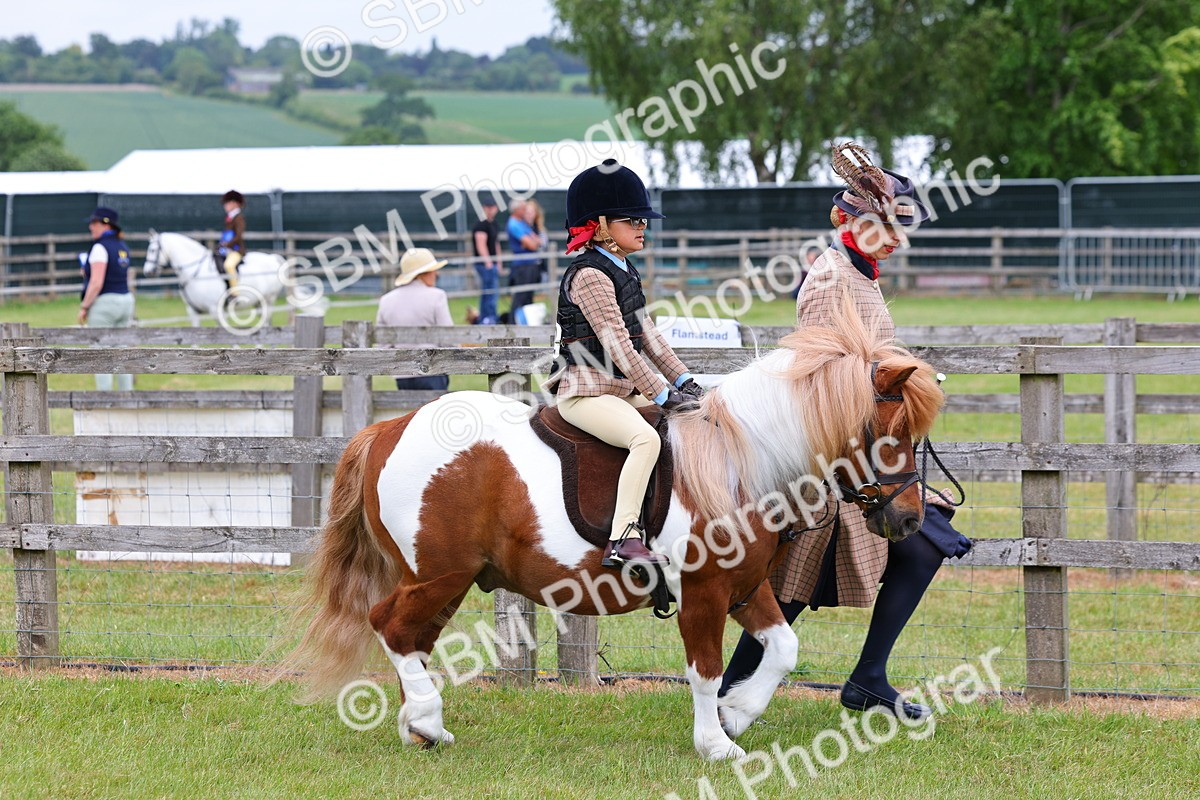 SBM_08093 - Class 42-43 - LIHS BSPS Heritage Working Sports Pony
