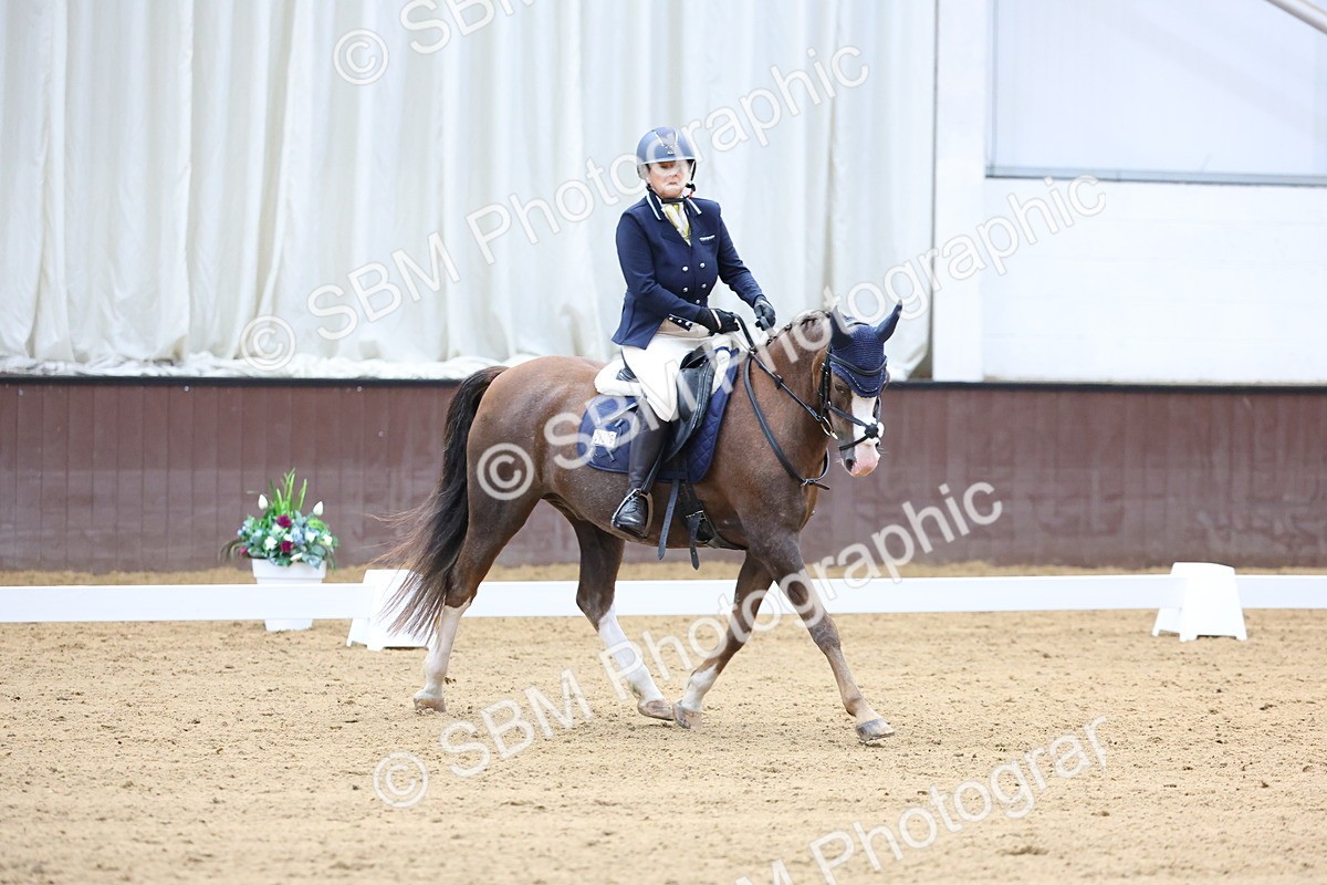 SBM_015745 - Class 15 - Novice FSM - 9.50 - 11.10