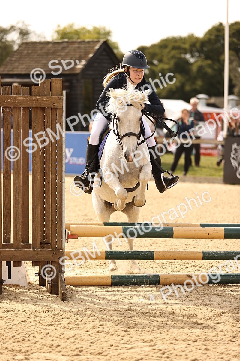 SBM_66853 - J13 - Junior Pony 60cm Championship