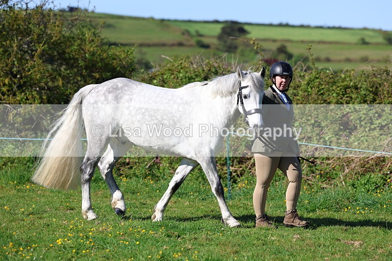 3E7A8503 - Class 13: M & M Large Breeds