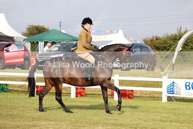 3E7A7694 - Class 1: Rising Star Small Hack/Riding Horses